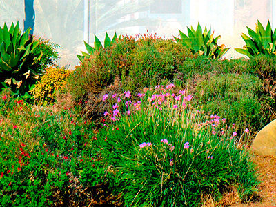 Landscape Company, Rosamond, CA Landscape Company, Rosamond, CA