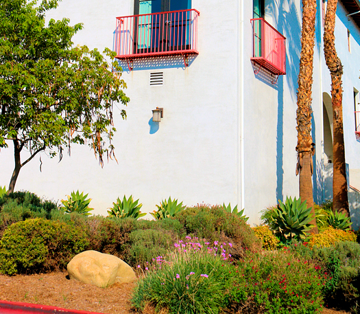 Sustainable Landscapes, Rosamond, CA Sustainable Landscapes, Rosamond, CA