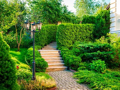 Landscape Design, Rosamond, CA