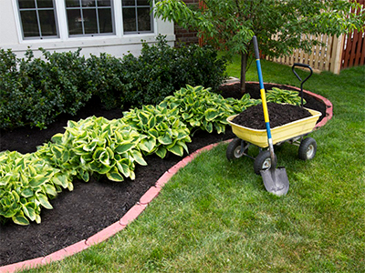 Landscape Installation, Rosamond, CA
